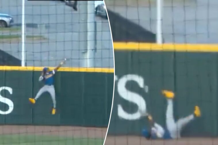 brewers-minor-leaguer-makes-catch-of-the-year-bid-with-unbelievable-home-run-robbery