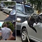 washington-police-k-9-leaps-into-action-after-suspected-impaired-driver-refuses-to-surrender