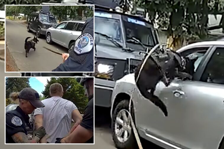 washington-police-k-9-leaps-into-action-after-suspected-impaired-driver-refuses-to-surrender