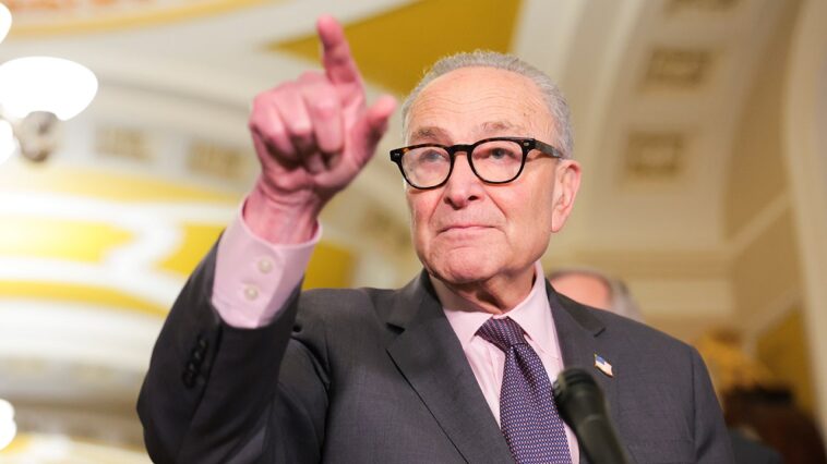 schumer-said-‘democrats-support-voter-id’-—-then-every-senate-democrat-voted-against-gop-bill