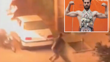 brother-of-iranian-kickboxer-sentenced-to-death-begs-trump-to-broker-last-second-deal:-‘save-his-life’