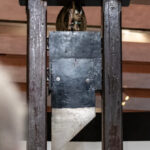 watch:-protestors-show-up-with-guillotine-at-city-council-meeting-and-scare-off-data-center-reps