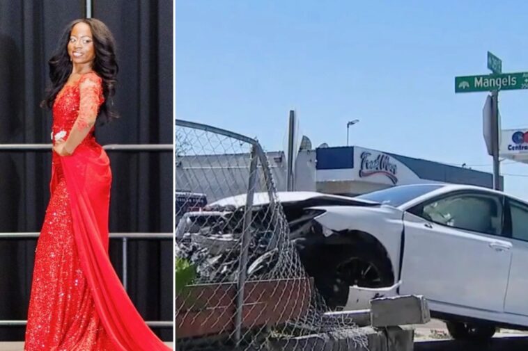 california-beauty-queen-fighting-for-her-life-after-being-hit-by-7-and-4-year-old-brothers-in-parents’-car