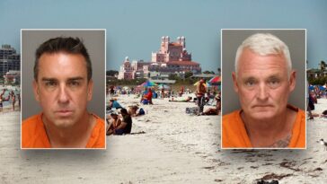 florida-business-owners-allegedly-scattered-1,500-mothballs-on-beach-to-send-endangered-birds-packing