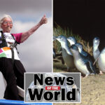 news-of-the-world:-what-you-missed-this-week-internationally