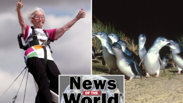 news-of-the-world:-what-you-missed-this-week-internationally