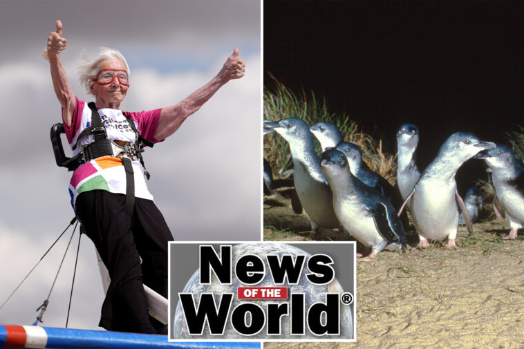 news-of-the-world:-what-you-missed-this-week-internationally