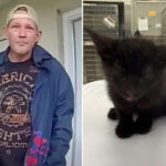 man-arrested-for-allegedly-killing-2-cats,-almost-drowning-another-in-twisted-punishment-for-daughter