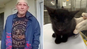 man-arrested-for-allegedly-killing-2-cats,-almost-drowning-another-in-twisted-punishment-for-daughter