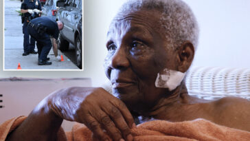 nyc-granny,-87,-unaware-she-was-shot-in-the-neck-by-armed-teens-until-stranger-pointed-out-wound:-‘i-was-bleeding-so-much’