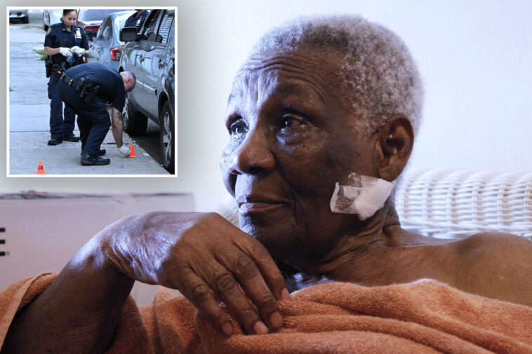 nyc-granny,-87,-unaware-she-was-shot-in-the-neck-by-armed-teens-until-stranger-pointed-out-wound:-‘i-was-bleeding-so-much’