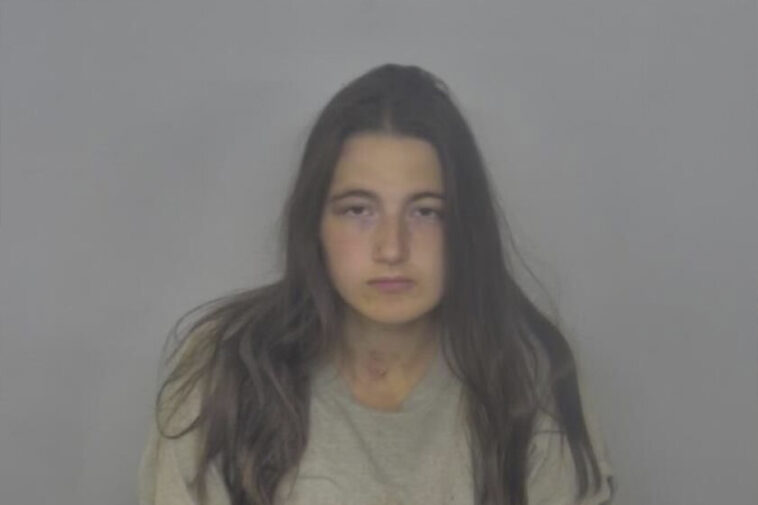 north-dakota-mom-hacks-her-2-kids-to-death-in-‘horrific’-bloody-rampage:-cops