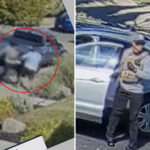 horrifying-video-shows-elderly-man-fatally-stabbed-in-front-yard-in-quiet-california-town