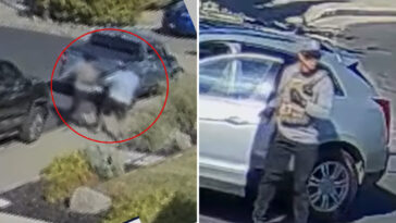 horrifying-video-shows-elderly-man-fatally-stabbed-in-front-yard-in-quiet-california-town