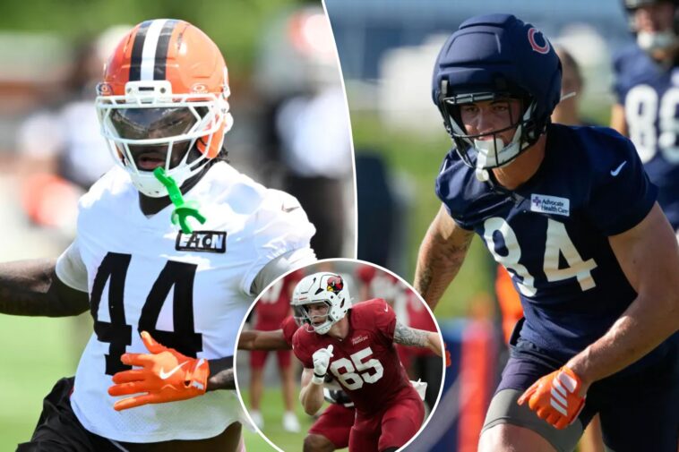 the-important-marker-to-keep-in-mind-when-drafting-tight-ends-in-fantasy-football