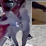 young-punks-busted-in-insane-serial-armed-robbery-spree-targeting-77-bay-area-homes-and-cars