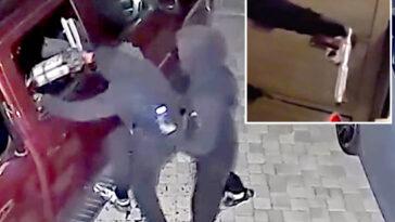 young-punks-busted-in-insane-serial-armed-robbery-spree-targeting-77-bay-area-homes-and-cars