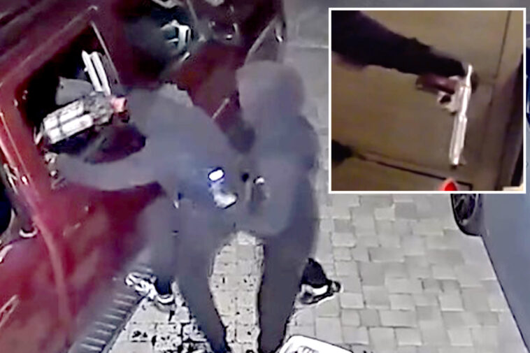 young-punks-busted-in-insane-serial-armed-robbery-spree-targeting-77-bay-area-homes-and-cars