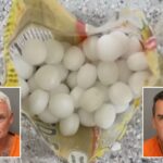 florida-business-owners-allegedly-scattered-1,500-mothballs-on-beach-to-scare-off-endangered-birds
