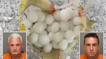 florida-business-owners-allegedly-scattered-1,500-mothballs-on-beach-to-scare-off-endangered-birds