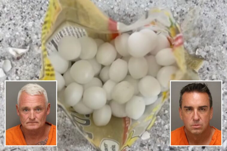 florida-business-owners-allegedly-scattered-1,500-mothballs-on-beach-to-scare-off-endangered-birds