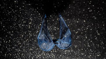 this-bestseller-turns-prostitution-into-‘female-empowerment’