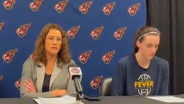updates:-sophie-cunningham-speaks-out-after-chicago-sky-player-assaults-her-and-blames-‘white-privilege’-–-then-her-crazy-coach-defends-sky-player-with-these-outrageous-remarks-(video)