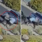 martinez-knifeman-who-allegedly-butchered-man-on-california-street-was-released-just-a-day-earlier