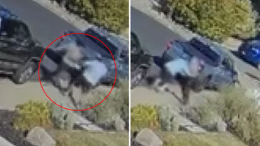 martinez-knifeman-who-allegedly-butchered-man-on-california-street-was-released-just-a-day-earlier
