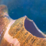 watch-—-fisherman-discovers-ancient-roman-shipwreck-and-piles-of-cargo-off-sicily’s-coast:-‘a-piece-of-our-history’
