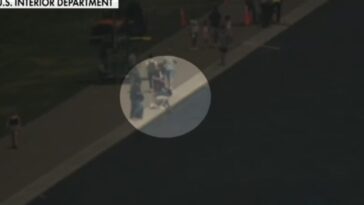 just-in:-trump-shares-reflecting-pool-court-filing-with-interviews-from-national-park-employees-who-saw-david-hearn-“violently”-ripping-sealant-out