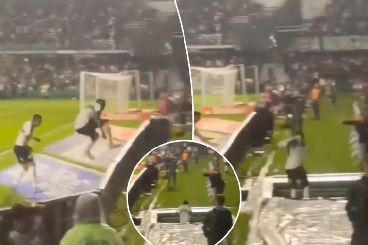 brazilian-soccer-player-leaves-game-after-leaping-over-barricade-into-tunnel-celebrating-goal-that-did-not-count-in-wild-scene