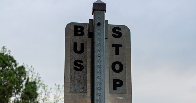 dsa-activists-upset-north-carolina-town-removed-their-propaganda-bus-stop-benches