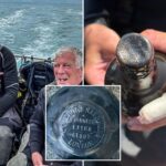 divers-find-162-year-old-guinness-in-shipwreck-—-and-there’s-a-‘possibility-it’s-still-drinkable’