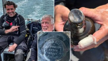 divers-find-162-year-old-guinness-in-shipwreck-—-and-there’s-a-‘possibility-it’s-still-drinkable’