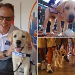 meet-the-adorable-and-fluffy-heir-to-howie-rose’s-legacy-already-taking-over-citi-field