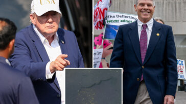 trump-doubles-down-on-reflecting-pool-vandalism-claim-against-ex-olympian-david-hearn,-admits-‘some-contractor-error’