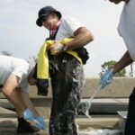 alert:-state-health-officials-sound-alarm-after-flesh-eating-bacteria-deaths-increase-400-percent-and-mortality-rate-skyrockets