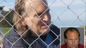 high-flying-landowner-who-said-he’d-shoot-beach-‘trespassers’-finally-snared-—-as-he-blows-up-at-judge