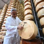a-heatwave-gives-‘liquid-assets’-a-new-meaning-for-the-european-bank-using-cheese-as-collateral