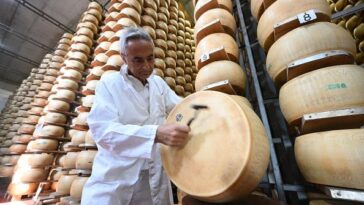 a-heatwave-gives-‘liquid-assets’-a-new-meaning-for-the-european-bank-using-cheese-as-collateral