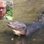 florida-swimmer’s-arm-ripped-off-by-alligator-in-gruesome-attack-that-left-‘bones-poking-out’-—-before-being-saved-by-good-samaritan