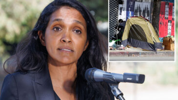 nithya-raman-out-as-homelessness-chair-as-la-splits-troubled-committee