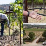 napa-bosses-slap-water-fees-on-struggling-wineries-to-achieve-lefty-‘green’-goals
