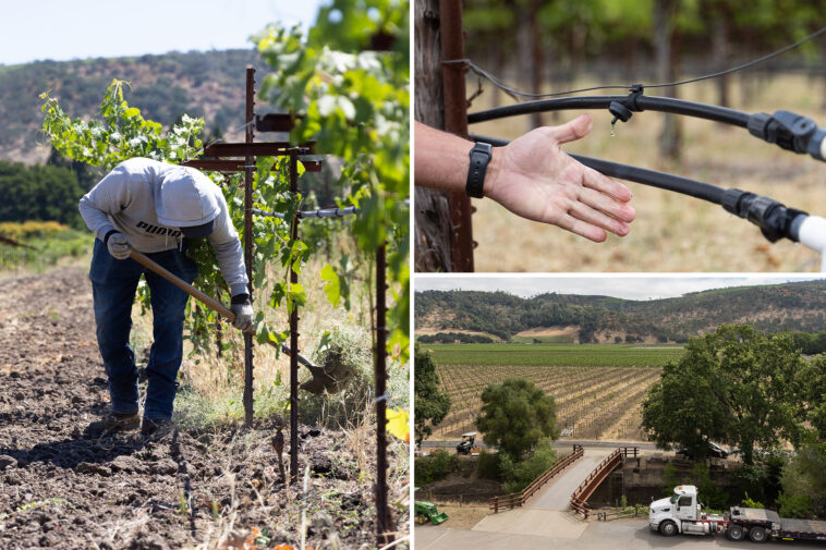 napa-bosses-slap-water-fees-on-struggling-wineries-to-achieve-lefty-‘green’-goals