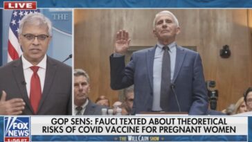 anthony-fauci’s-successor,-nih-director-jay-bhattacharya,-blasts-fauci-for-covering-up-82%-miscarriage-rate-for-pregnant-women-taking-the-covid-shot