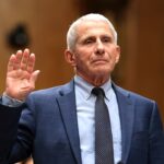 fauci-said-‘no-red-flags’-for-pregnant-women-days-after-raising-theoretical-vaccine-miscarriage-risk:-text