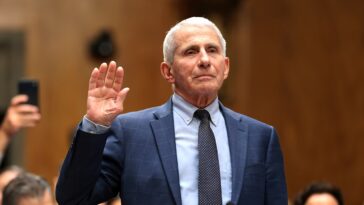 fauci-said-‘no-red-flags’-for-pregnant-women-days-after-raising-theoretical-vaccine-miscarriage-risk:-text