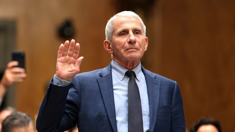 fauci-said-‘no-red-flags’-for-pregnant-women-days-after-raising-theoretical-vaccine-miscarriage-risk:-text