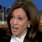 former-dnc-fundraiser-says-democrat-donors-are-not-going-to-fund-another-kamala-harris-for-president-campaign-(video)